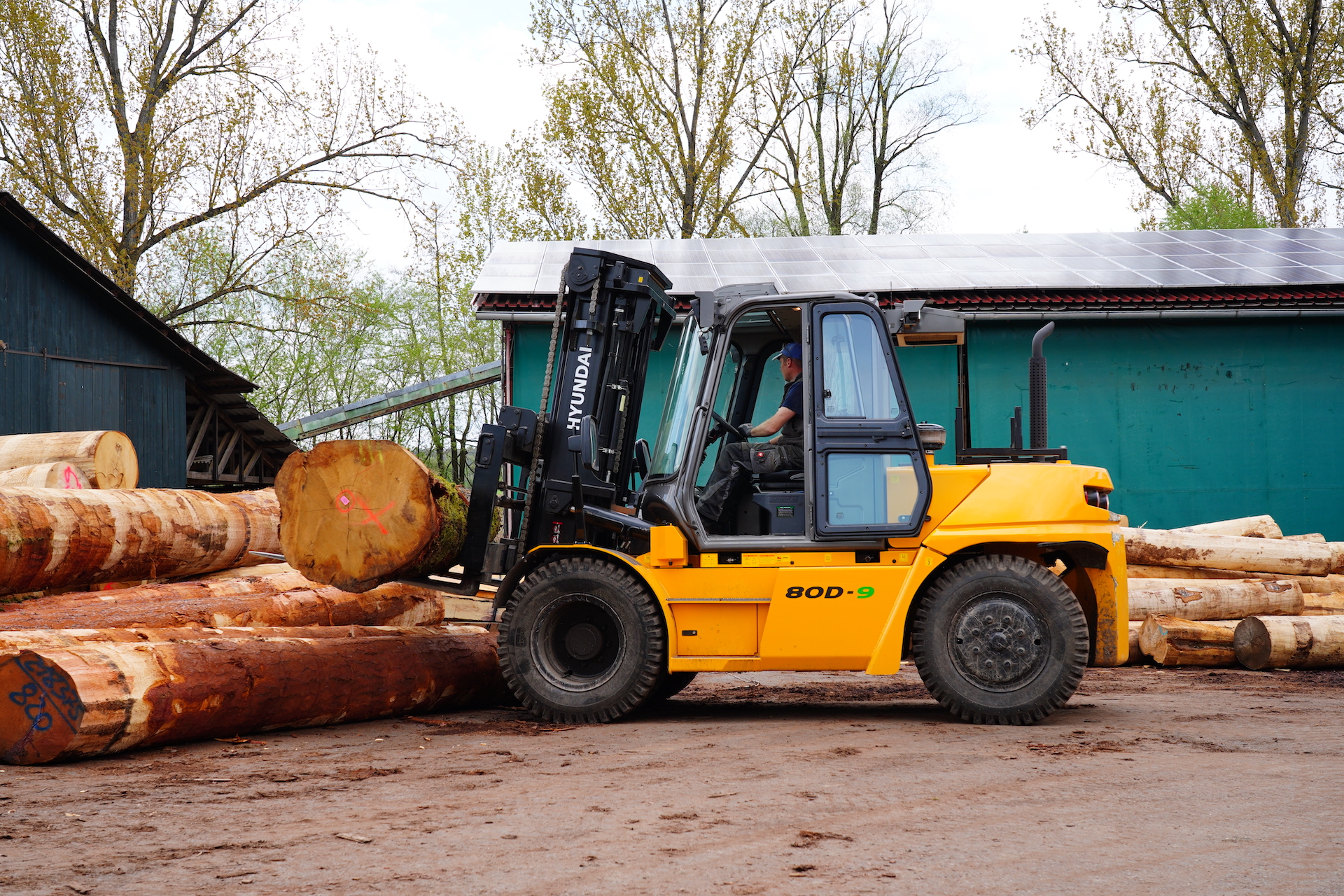 Hyundai 80D-9 met boomstammen bij houtzagerij